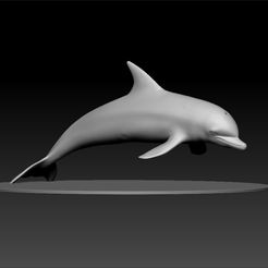ZBrdd.jpg Dolphin