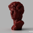 DAVID_06.png Parametric Head of David Digital File Package for 3D Printing/CNC/Laser