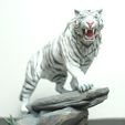 348239532_637881791570679_5926091248328988899_n.jpg White Tiger (Bach Ho) Statue