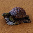 turtle-v2.png turtle decoration (3d scanned)