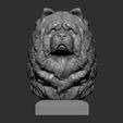 chow-chow5.jpg Modèle imprimé en 3D du buste de Chow Chow