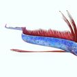 5T.jpg DOWNLOAD Hairtail DOWNLOAD FISH DINOSAUR DINOSAUR Hairtail FISH 3D MODEL ANIMATED - BLENDER - 3DS MAX - CINEMA 4D - FBX - MAYA - UNITY - UNREAL - OBJ -  Hairtail FISH DINOSAUR