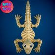 2.jpg Articulated Lizard Skeleton Model! 🎃💀