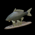 carp-podstavec-high-quality-1.png big carp underwater statue detailed texture for 3d printing