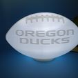 IMG_20230630_210309794.jpg Oregon Ducks Football Light