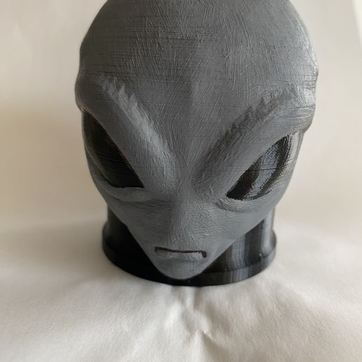 IMG-7349.jpg tow cover alien face