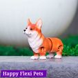 IMG_3069.jpg Jouet flexi articulé Corgi dog print in place (#16)