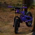 render_photo3.jpg Mini bicicleta de Downhill totalmente funcional