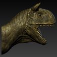 11.jpg Carnotaurus  Head