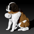 SanBernardo_Sentado1.png saint bernard dog