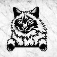 jnkjk.jpg balinese CAT WALL DECOR WALL DECOR MURAL MASCOT CAT DECO WALL HOUSE PET