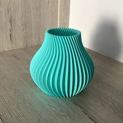 IMG_4106.jpg Twisted Vase M2