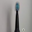 IMG_20220811_001847.jpg toothbrush holder