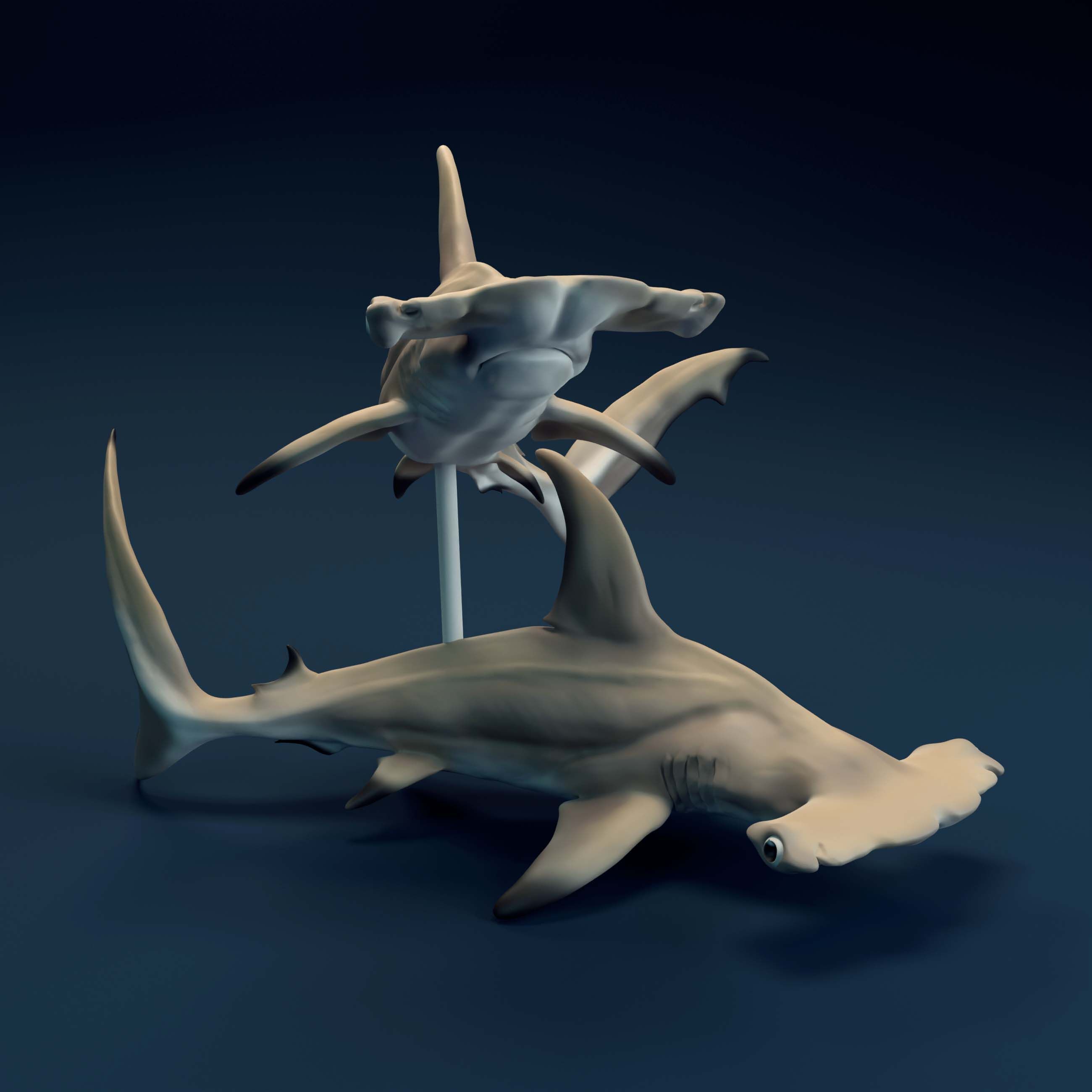 Hammerheads_4.jpg 3D-Datei Hammerhaie・3D-Druck-Idee zum Herunterladen, AnimalDenMiniatures