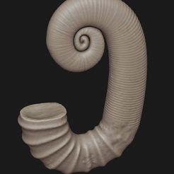 1.jpg STL-Datei Ein Fossil eines heteromorphen Ammoniten | von Deltorvik・Design für den 3D-Druck zum Herunterladen