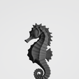 hippocampe-2.png seahorse