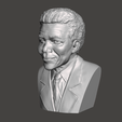 Nelson-Mandela-2.png 3D Model of Nelson Mandela - High-Quality STL File for 3D Printing (PERSONAL USE)
