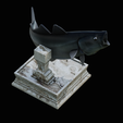 coalfish-open-mouth-statue-box-18.png COALFISH / POLLACHIUS VIRENS trophy with storage space for 3d printing