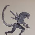 20230216_214900.jpg Alien Prowler