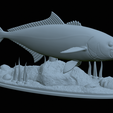 Greater-Amberjack-statue-1-36.png fish greater amberjack / Seriola dumerili statue underwater detailed texture for 3d printing