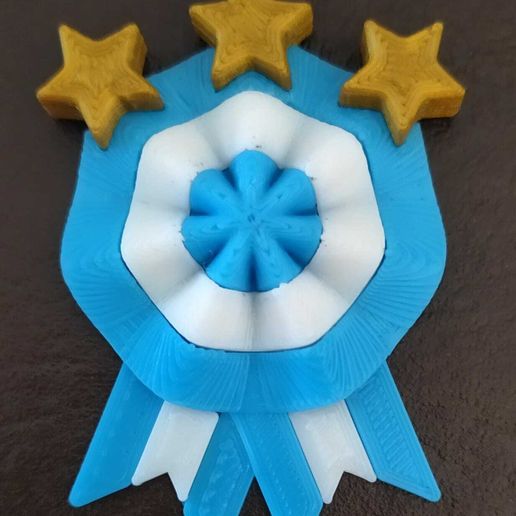 Imagen-de-WhatsApp-2023-05-18-a-las-15.58.40.jpg Badge de champion du monde de l'Argentine