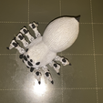 IMG_4288.png flexi spider / portia / print in place / 3Dprint
