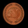 4.jpg American Bully French Bulldog Medallion