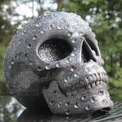 IMG_4817.JPG Archivo STL gratis Calavera con diamantes・Modelo imprimible en 3D para descargar