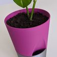 IMG_20200508_121027.jpg PLANTER 01