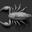 17.png Scorpion