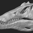 spinosaurus-dinosaur-skull-3d-printing-223632.png Spinosaurus Dinosaur Skull