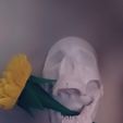 Snapchat-1322501268.jpg Skull decor / skull holder / skull wall decor / hanging skull