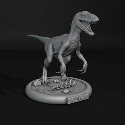 2022-12-29-16_39_16-Blender_-C__Users_lowri_OneDrive_Desktop_3D-Models-For-Sale_⏏︎⏏︎-Done-⏏︎⏏︎_3d-p.jpg Velociraptor