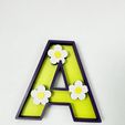 9279b443-de4e-4066-b252-8d58d478497b.jpg Letras florais de margaridas