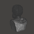 Aristotle-5.png 3D Model of Aristotle - High-Quality STL File for 3D Printing (PERSONAL USE)