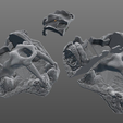 Screenshot_2018-06-14_12.28.17.png Boneyard Scatter - 28mm Gaming - Sample Item