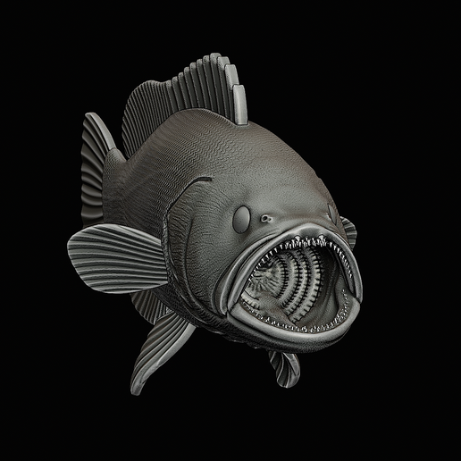 👄 white grouper / Epinephelus aeneus open mouth fish model for 3D ...