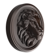 Tête-de-lion-2.png Lion's head