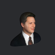 model-5.png Al Gore-bust/head/face ready for 3d printing