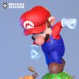 05.jpg Super Mario 3D Print Model