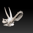 Ekran-Resmi-2024-12-07-13.20.55.png Triceratops Dinosaur Skull 3D Model