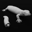 Pose3Parts-min.png Gila Monster Lizard - Realistc Venomous Reptile
