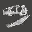 Screenshot-40.png Allosaurus dinosaur skull