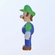 IMG_9734.jpg Luigi