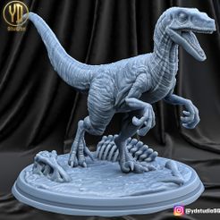 velociraptor2.jpg Archivo STL Velociraptor・Modelo para descargar y imprimir en 3D