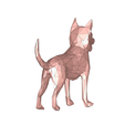 model-5.png Dog Low Poly no.2
