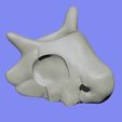 Cubone.jpg Cubone Skull Planter