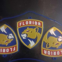 florida.jpg Llavero Florida Panthers