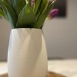 IMG_3793.jpeg 🌼 Elegant Vertical Strip Vase