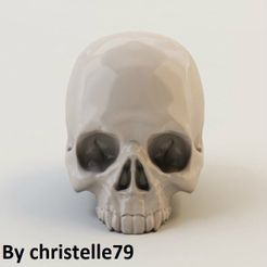 product_image_14564.jpg Human Skull